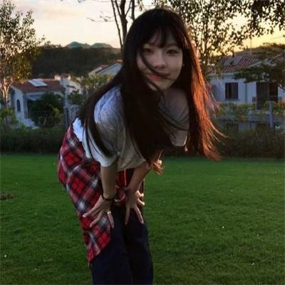 年度鸟事