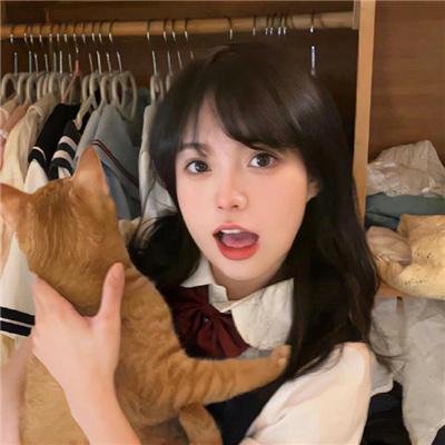 山有木兮木有心